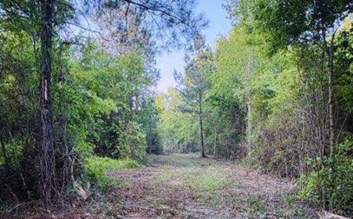 Pictures of Land, Multifamily, Special Purpose property located at Darron Hodge Ln, Poplarville, MS 39470 for sales - image #1