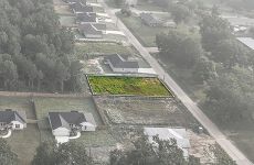 34003237