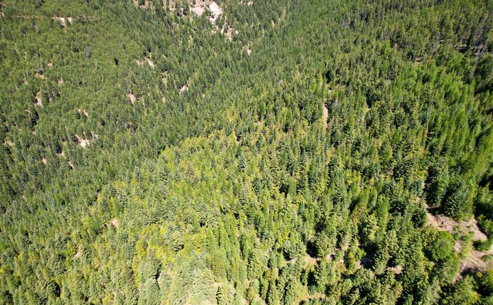 Pictures of Land property located at Tract 2 Pardee Flat Road, SUPERIOR, MT 59872 for sales - image #1