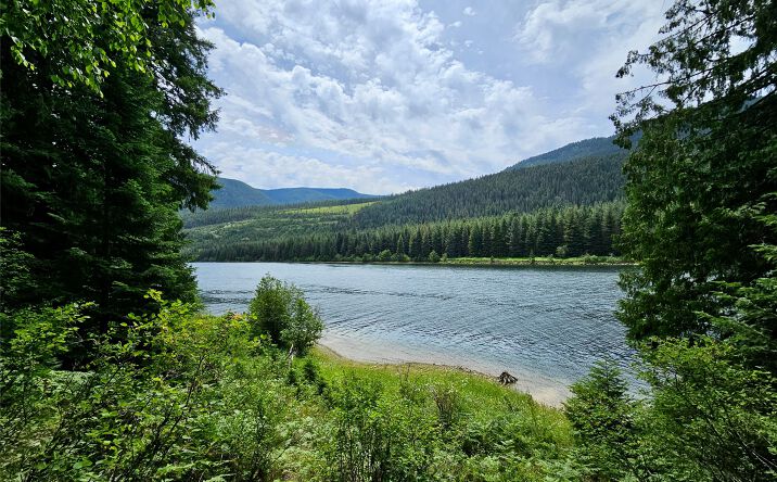 Pictures of Land property located at 39 Hay Lane, NOXON, MT 59853 for sales - image #1