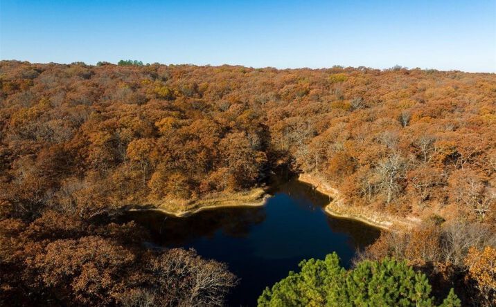 Pictures of Land property located at E 1100 Road, Paden, OK 74860 for sales - image #1