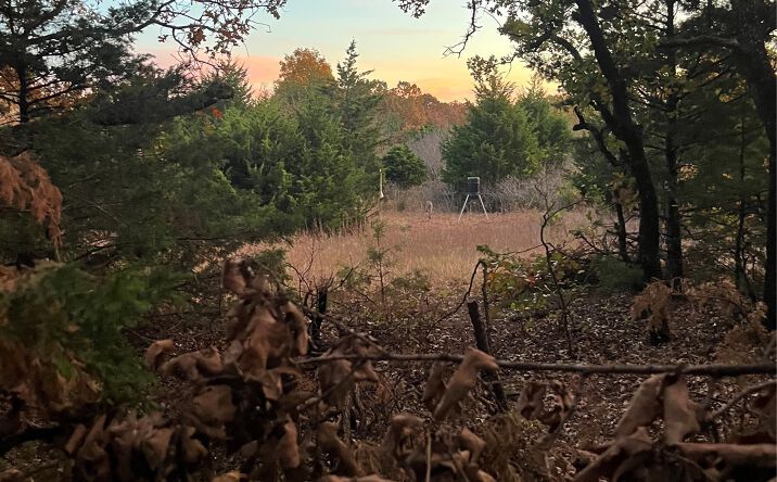 Pictures of Land property located at S 3397 Road, Chandler, OK 74834 for sales - image #1