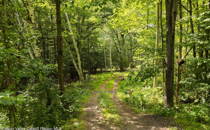 Pictures of Land, Multifamily property located at 35 Mountain Valley Road, Boiceville, NY 12412 for sales - image #1