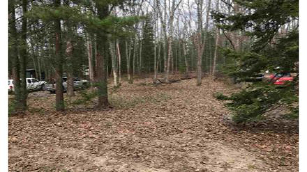 1471 W Bear Lake Road, Kalkaska, MI 49646