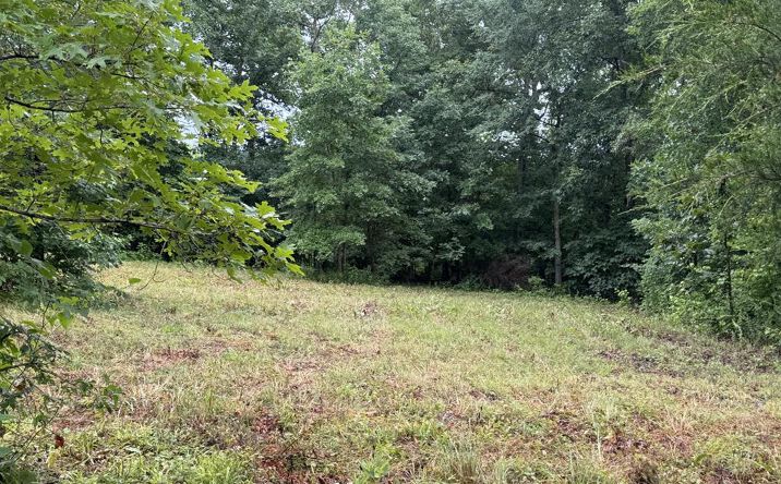 Pictures of Land, Multifamily property located at Johnson Hollow Rd, Stewart, TN 37175 for sales - image #1
