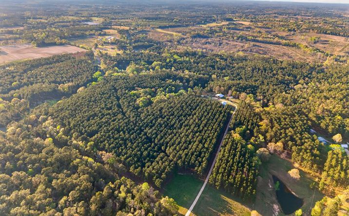 Pictures of Land, Special Purpose property located at Gravel Pit Rd, Sandy Hook, MS 39478 for sales - image #1