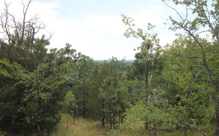 Pictures of Land property located at 3751 Crane Lake Rd., Arcadia, MO 63621 for sales - image #1