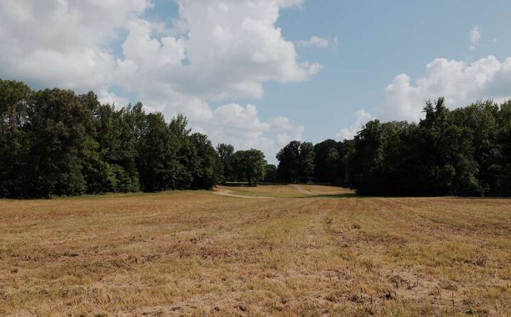 Pictures of Land property located at 0 Ames Rd., Hickory Valley, TN 38042 for sales - image #1