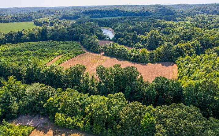 Pictures of Land property located at 0 County Rd. 530, Williamsville, MO 63967 for sales - image #1