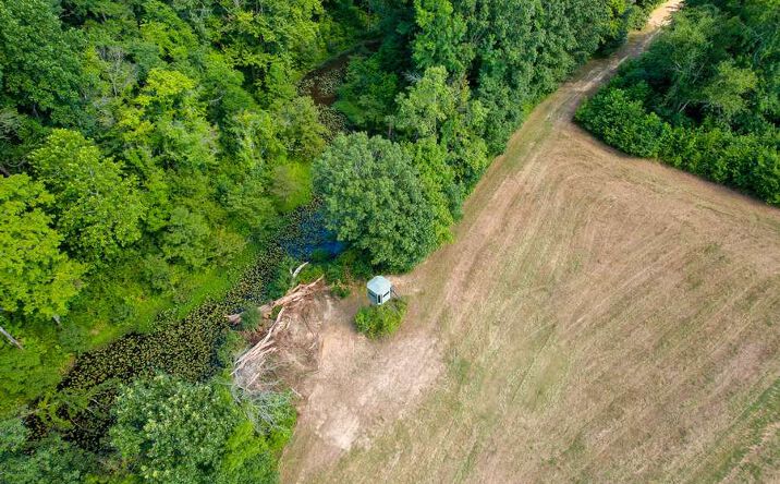 Pictures of Land property located at 0 County Rd. 532, Williamsville, MO 63967 for sales - image #1
