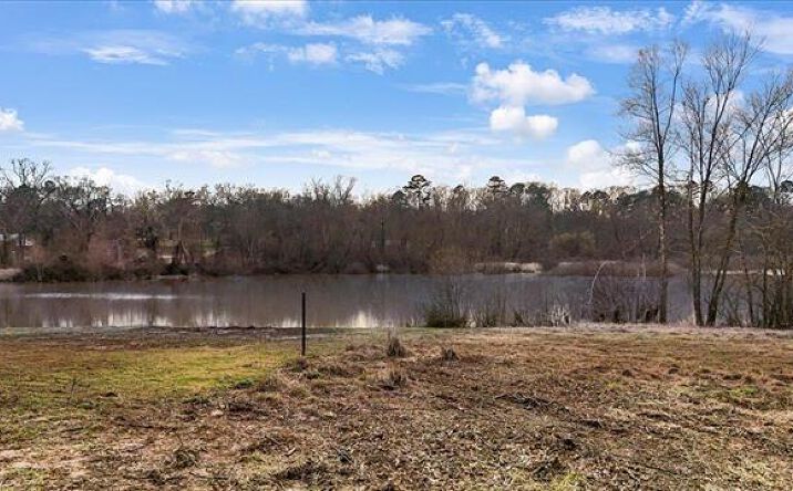 Pictures of Land property located at 14419 W Peninsula Rd, Whitehouse, TX 75791 for sales - image #1
