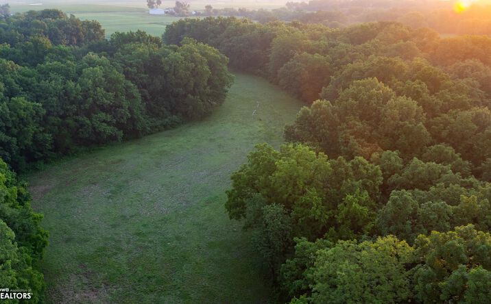 Pictures of Land property located at 9689 Pegtown, Mediapolis, IA 52637 for sales - image #1