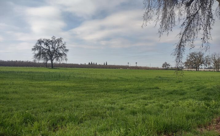 Pictures of Land property located at Lovers Lane, Visalia, CA 93292 for sales - image #1