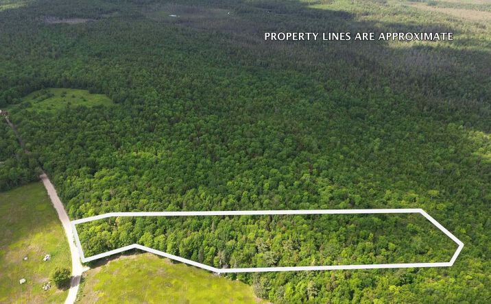 Pictures of Land property located at Lot 1 Martins Ridge Road, Franklin, ME 04634 for sales - image #1