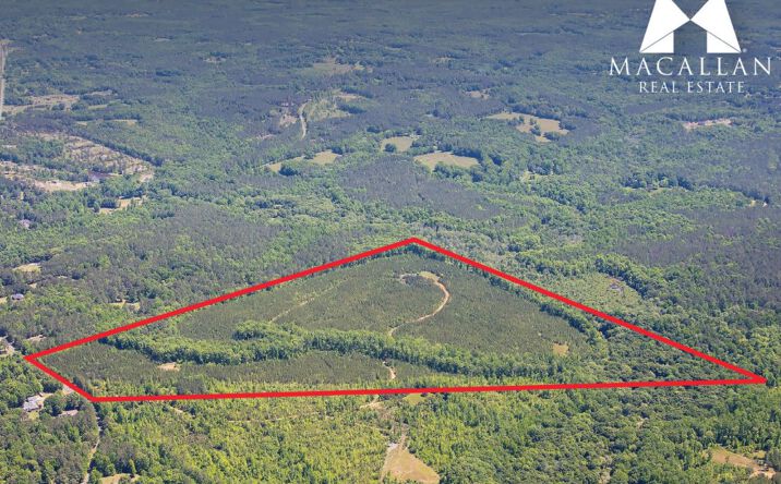 Pictures of Land property located at Bradbury Road, Moreland, GA 30259 for sales - image #1