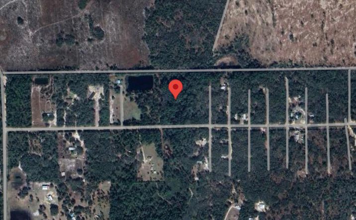 Pictures of Land property located at 138 Pine Tree Drive, Palatka, FL 32177 for sales - image #1