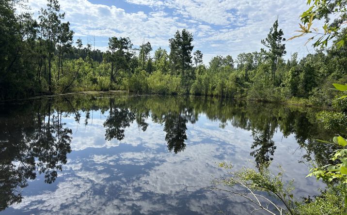 Pictures of Land property located at Starlington Rd, Georgiana, AL 36033 for sales - image #1
