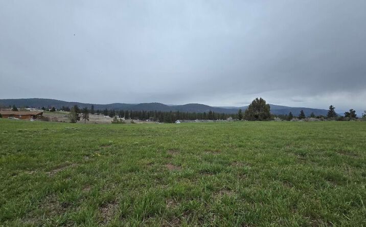 Pictures of Land property located at 29 Ranchwood Rd, Chiloquin, OR 97624 for sales - image #1
