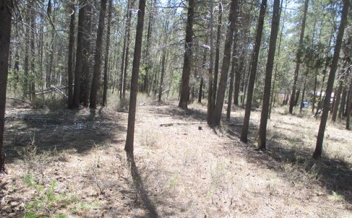 Pictures of Land property located at Lot 19 & 20 Cloudcap Drive, Chiloquin, OR 97624 for sales - image #1