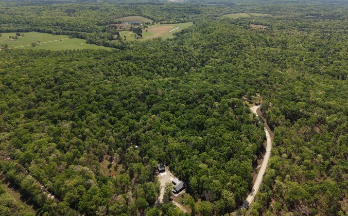 Pictures of Land property located at 162 County Road 412, Ellsinore, MO 63937 for sales - image #1