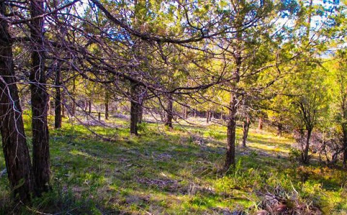 Pictures of Land property located at Pearson Butte Trl Lot 16, Klamath Falls, OR 97603 for sales - image #1