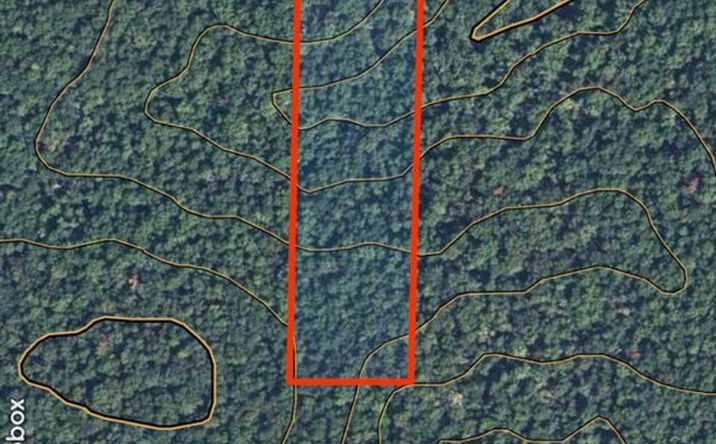 Pictures of Land property located at West of Highway 21, Grandin, MO 63943 for sales - image #1