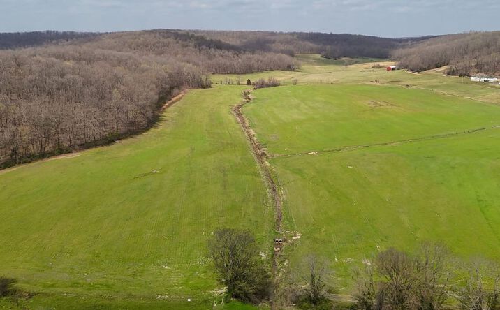 Pictures of Land property located at State Highway 51, Advance, MO 63730 for sales - image #1