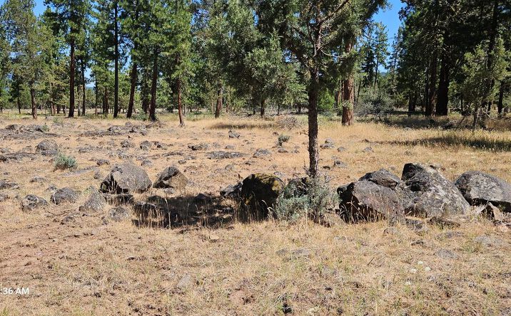 Pictures of Land property located at Lot 13 J. F. Goeller Way, Klamath Falls, OR 97601 for sales - image #1