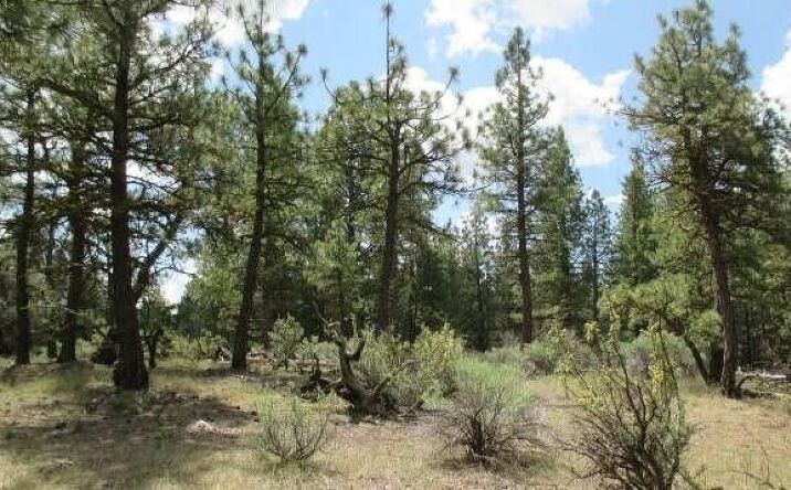 Pictures of Land property located at Lot 24 Elde Street, Chiloquin, OR 97624 for sales - image #1