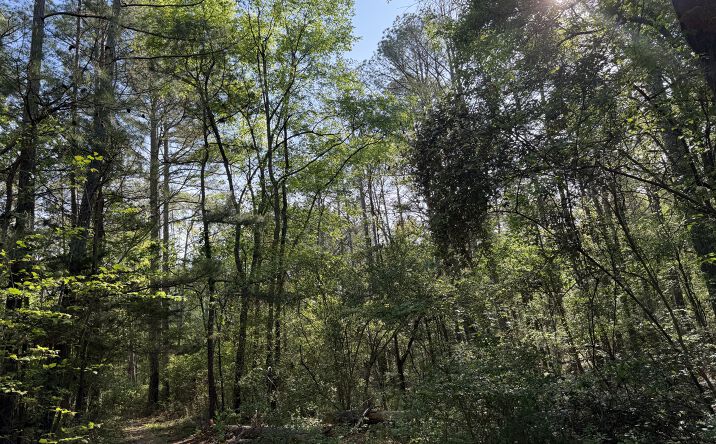 Pictures of Land property located at 0 Clear Lake Drive Northwest, Adairsville, GA 30103 for sales - image #1