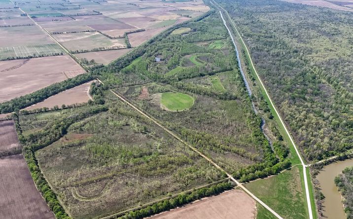 Pictures of Land property located at County Road 513, Senath, MO 63876 for sales - image #1