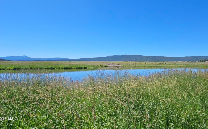 Pictures of Land property located at 0 Clearwater Drive, 35, Sprague River, OR 97639 for sales - image #1