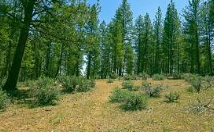 Pictures of Land property located at 20 Elde St, Chiloquin, OR 97624 for sales - image #1