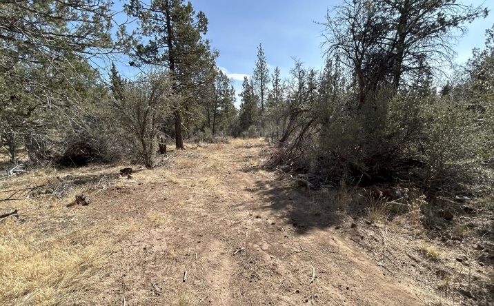 Pictures of Land property located at 0 Chicken Hawk Drive, 27, Bonanza, OR 97623 for sales - image #1