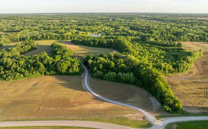 Pictures of Land property located at Tract A NE 900th Road, Knob Noster, MO 65336 for sales - image #1