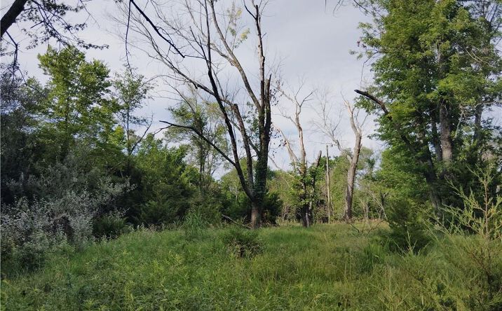 Pictures of Land, Special Purpose, Multifamily property located at 30218 Maple Grove Road, Paola, KS 66079 for sales - image #1