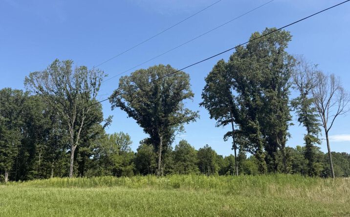 Pictures of Land property located at 4379 Bells Highway, Jackson, TN 38305 for sales - image #1