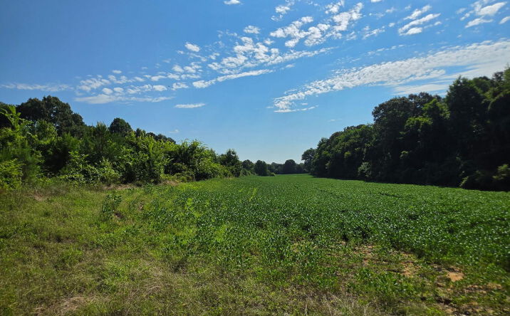 Pictures of Land property located at 3 Old Jackson Road, Trenton, TN 38382 for sales - image #1