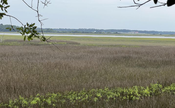 Pictures of Land property located at 2017 Paul Chavis Lane, Charleston, SC 29412 for sales - image #1