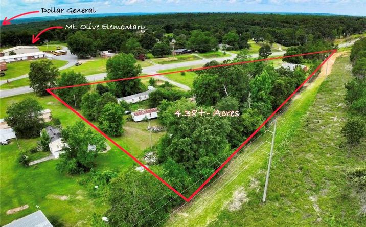 Pictures of Mixed Use, Industrial property located at 443 Highway 165, Fort Mitchell, AL 36856 for sales - image #1