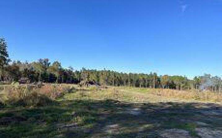 Pictures of Industrial, Mixed Use property located at 9425 U.S. 178, Harleyville, SC 29477 for sales - image #1