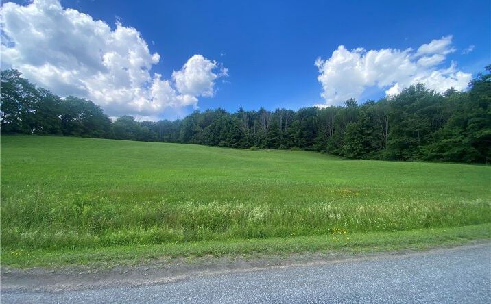 Pictures of Land property located at Holmesville Road, New Berlin, NY 13843 for sales - image #1