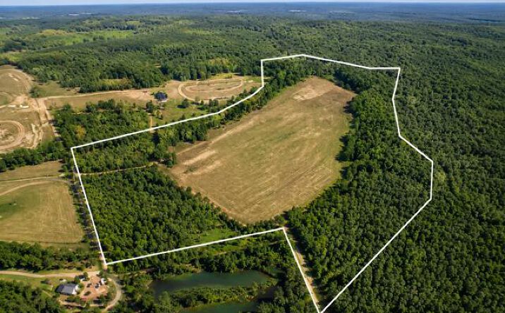Pictures of Land property located at 2003 Driggers Lane, Manning, SC 29102 for sales - image #1
