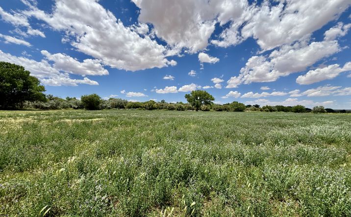 Pictures of Land property located at 87 Camino Ulibarri, Veguita, NM 87062 for sales - image #1