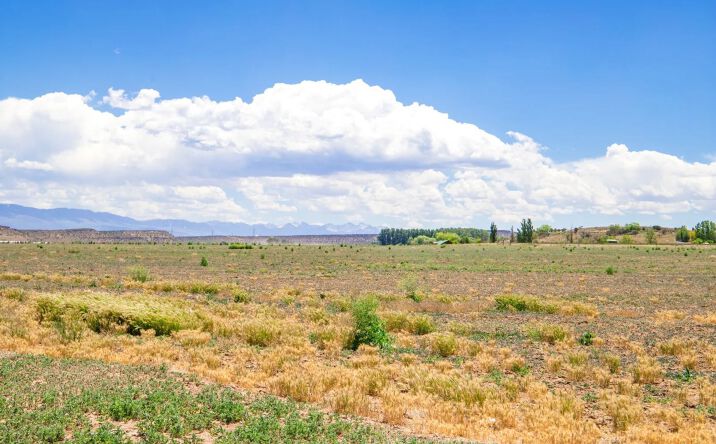 Pictures of Land property located at TBD Lot 2 Luca Estates NO. 3 Minor, 16895, CO 81403 for sales - image #1