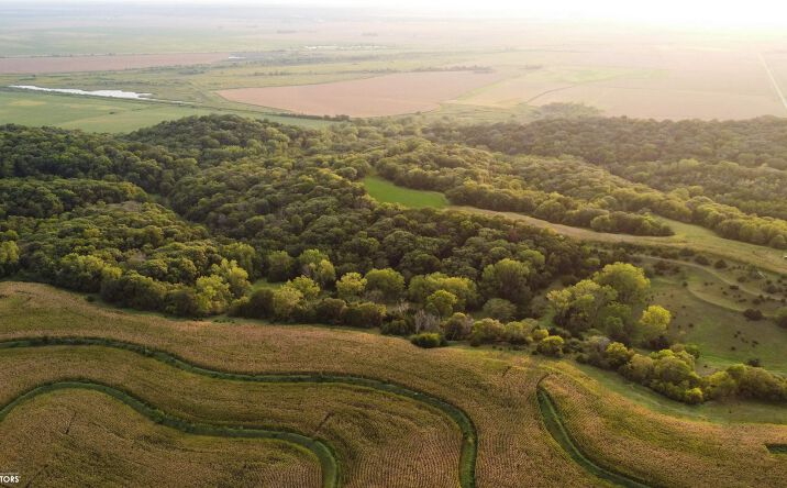 Pictures of Land property located at TBD 286th Street, Hamburg, IA 51640 for sales - image #1