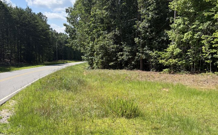 Pictures of Land property located at Green Road, Ellerbe, NC 28338 for sales - image #1