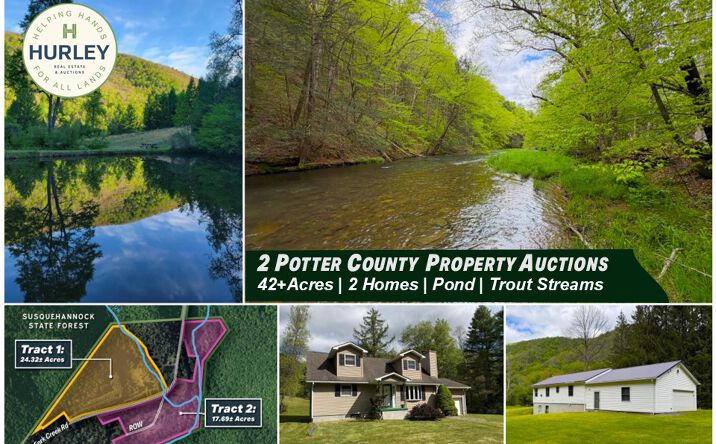 Pictures of Land property located at 1226 CROSS FRK CREEK RD, CROSS FORK, PA 17729 for sales - image #1