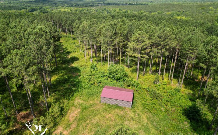 Pictures of Land property located at 2050 Meansville Road, Jonesville, SC 29353 for sales - image #1