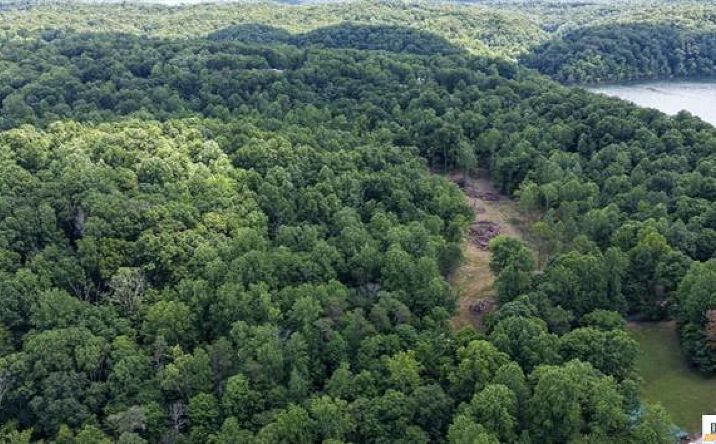 Pictures of Land property located at Wilderness Road, Mammoth Cave, KY 42259 for sales - image #1